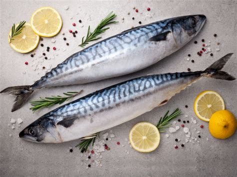 mackerel fish benefits